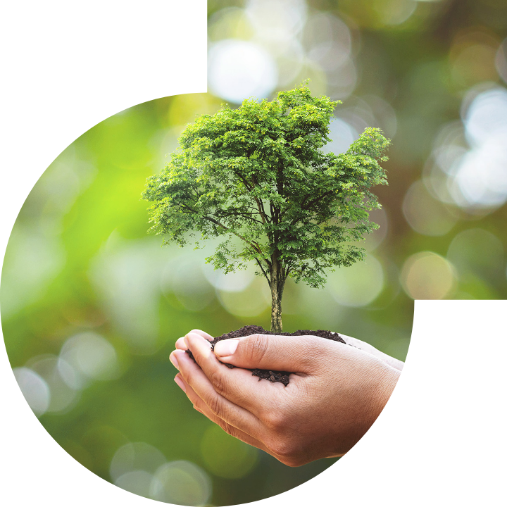 關懷人類、文化、環境與社會